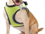 Doggy Safety Harness XL. A:40-48cm B:50-54cm