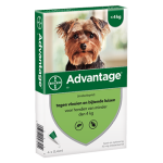 Advantage 40 hond (< 4 kg) – 4 pipet