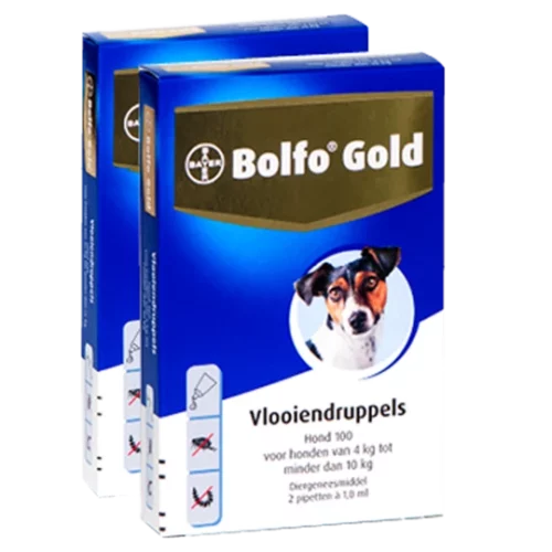bolfo gold 100